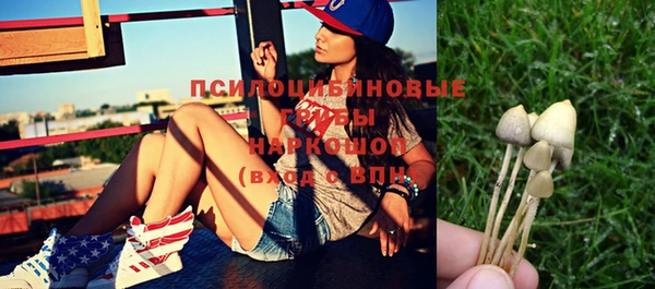 стаф Иннополис