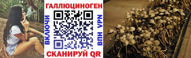 Галлюциногенные грибы прущие грибы  MEGA ONION  Лениногорск 
