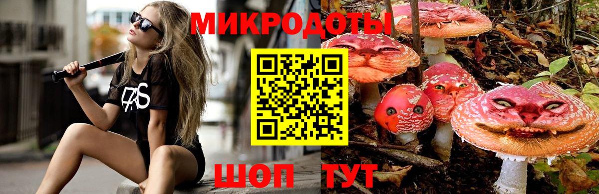 Лениногорск  Псилоцибиновые грибы прущие грибы  Вход с VPN 